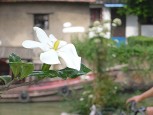 17.06.-P1040304