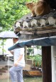 25.06.-P1040683